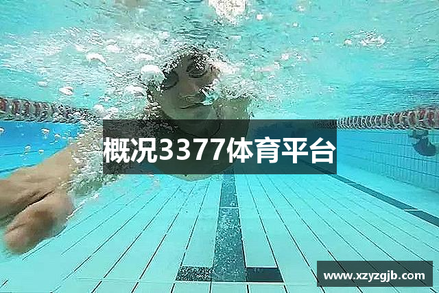 概况3377体育平台